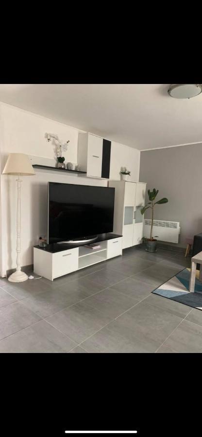 Convivialetzen Appartement Chatenoy-le-Royal Buitenkant foto