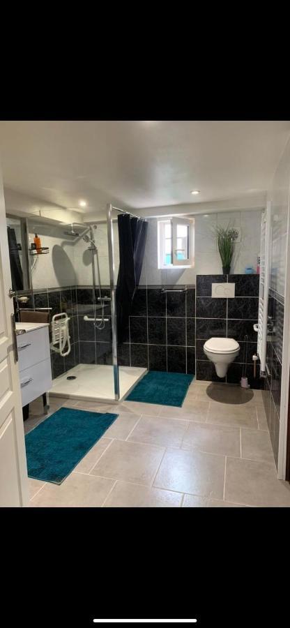 Convivialetzen Appartement Chatenoy-le-Royal Buitenkant foto